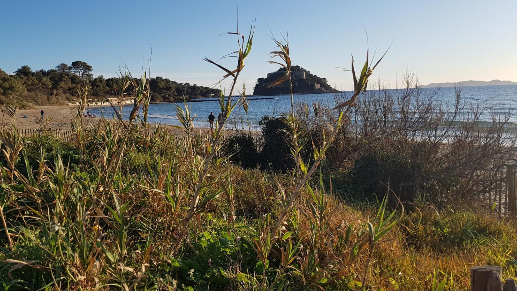 Apartmán Rez De Jardin T3 Recent Et Calme Au Nouvelles Terres A La Londe Les Maures Exteriér fotografie