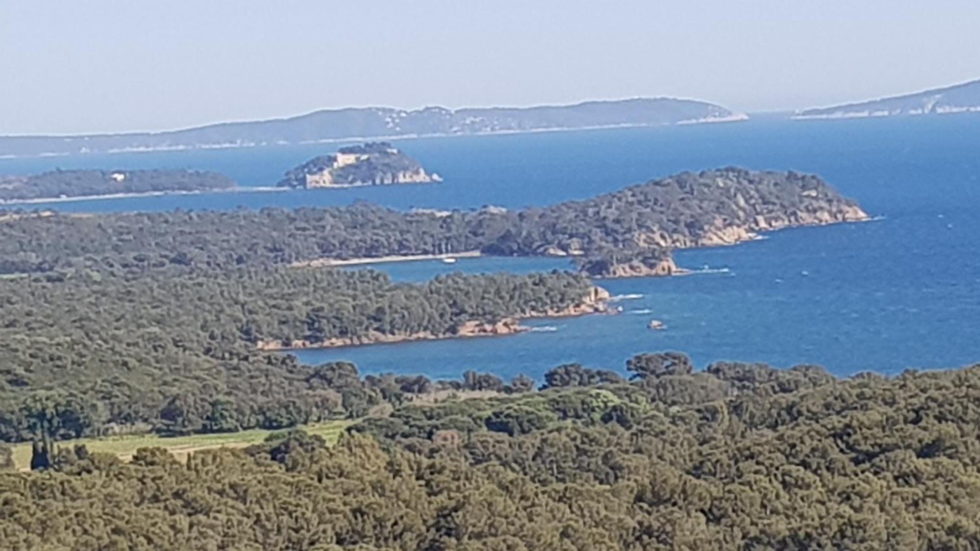 Apartmán Rez De Jardin T3 Recent Et Calme Au Nouvelles Terres A La Londe Les Maures Exteriér fotografie