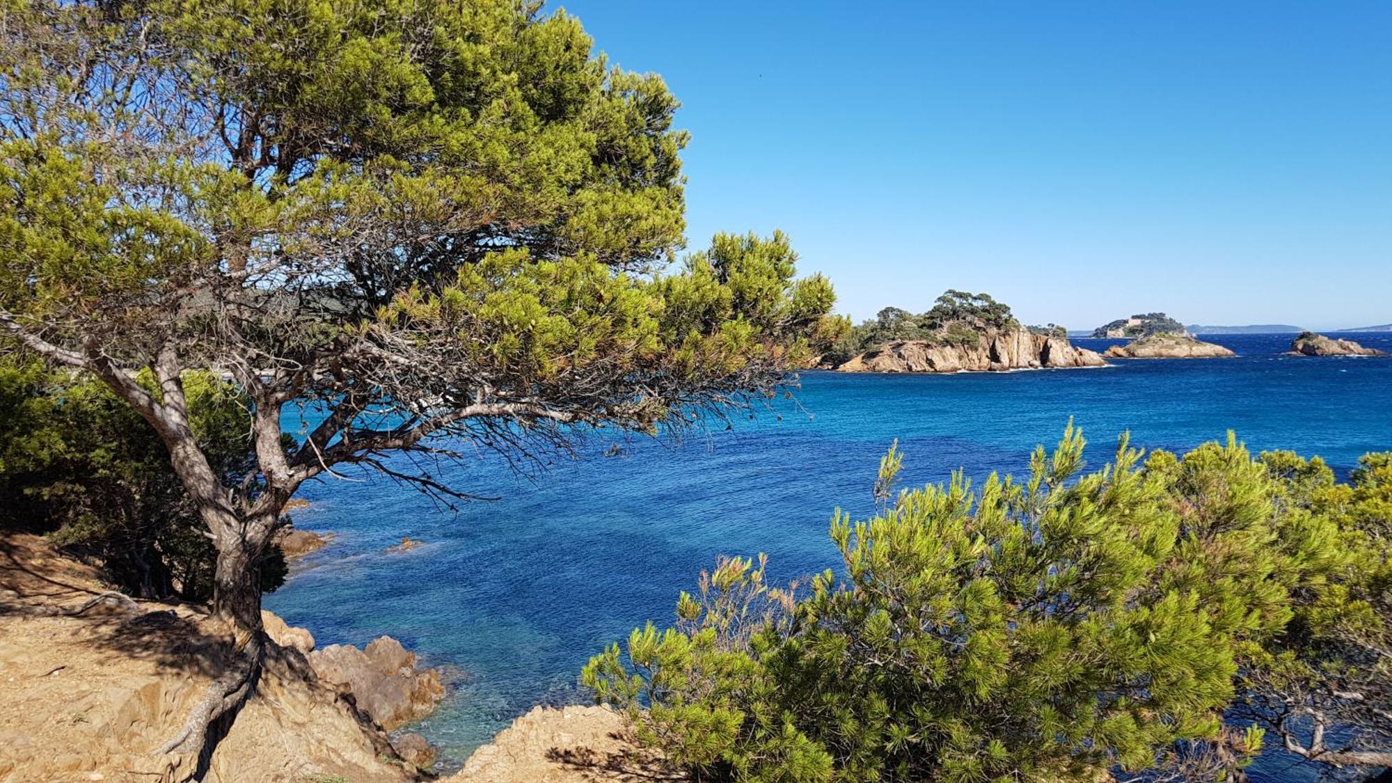Apartmán Rez De Jardin T3 Recent Et Calme Au Nouvelles Terres A La Londe Les Maures Exteriér fotografie