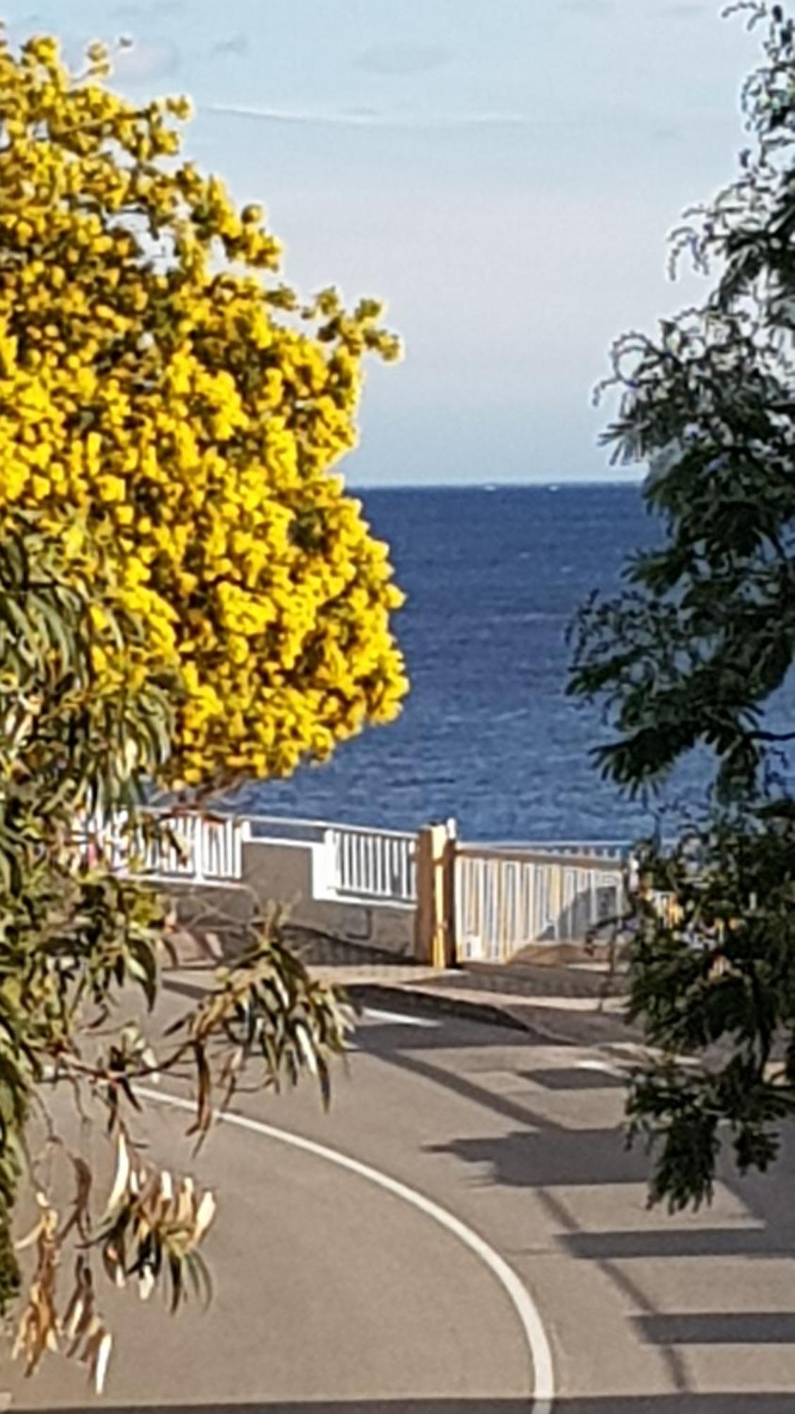 Apartmán Rez De Jardin T3 Recent Et Calme Au Nouvelles Terres A La Londe Les Maures Exteriér fotografie
