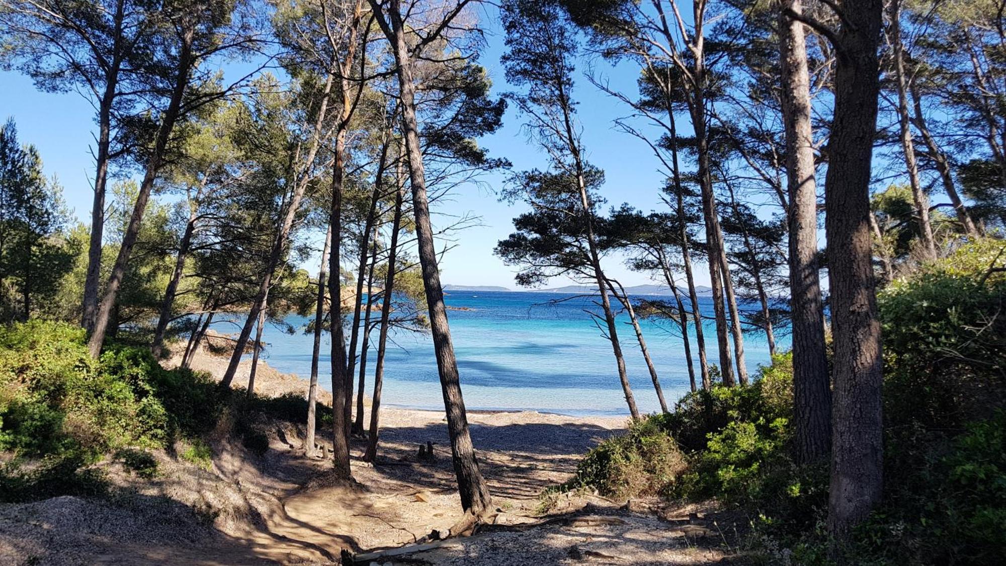 Apartmán Rez De Jardin T3 Recent Et Calme Au Nouvelles Terres A La Londe Les Maures Exteriér fotografie