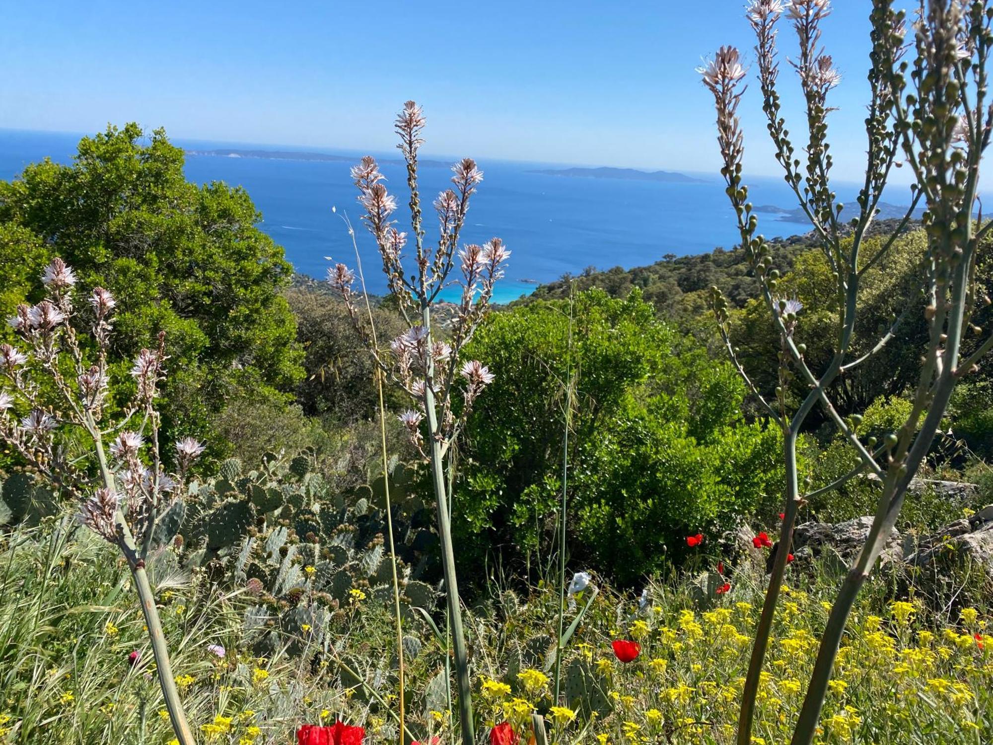 Apartmán Rez De Jardin T3 Recent Et Calme Au Nouvelles Terres A La Londe Les Maures Exteriér fotografie