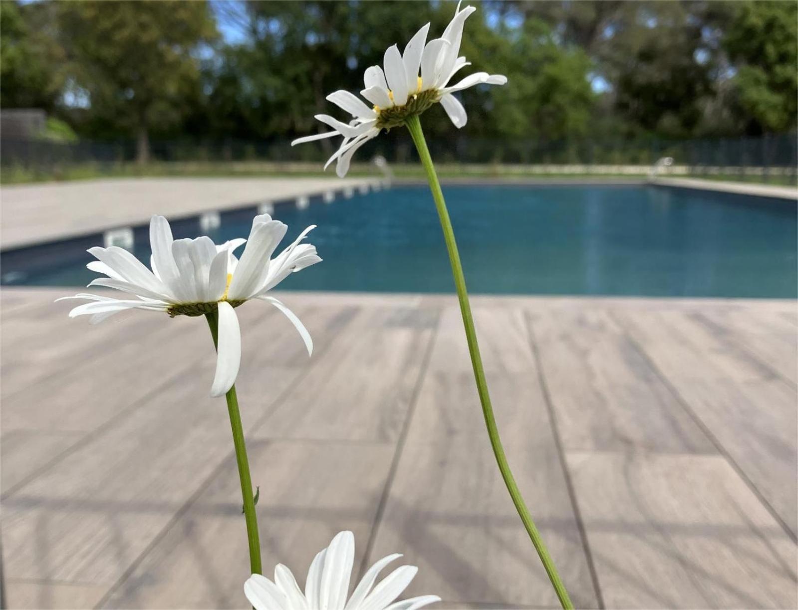 Apartmán Rez De Jardin T3 Recent Et Calme Au Nouvelles Terres A La Londe Les Maures Exteriér fotografie